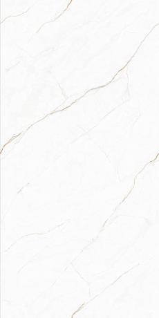 KFS735A001 金缕东方白